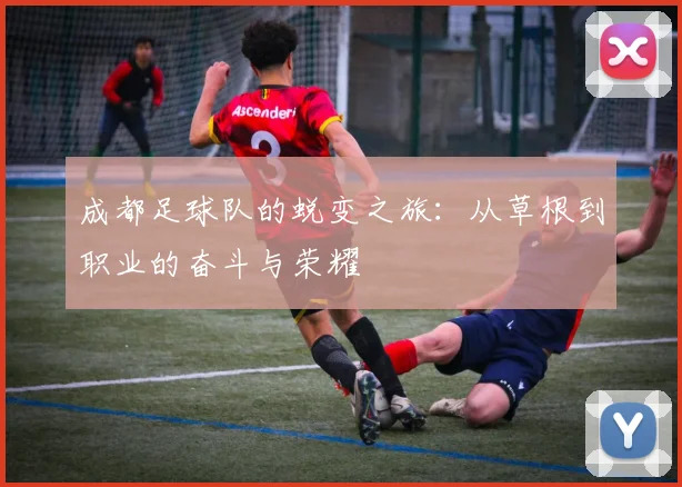 成都足球队的蜕变之旅：从草根到职业的奋斗与荣耀