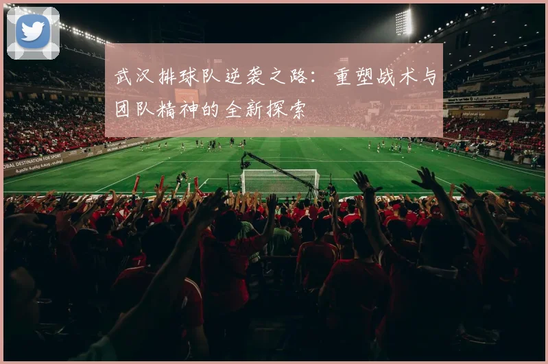 武汉排球队逆袭之路：重塑战术与团队精神的全新探索