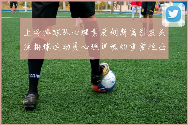 上海排球队心理素质创新高引发关注排球运动员心理训练的重要性凸显
