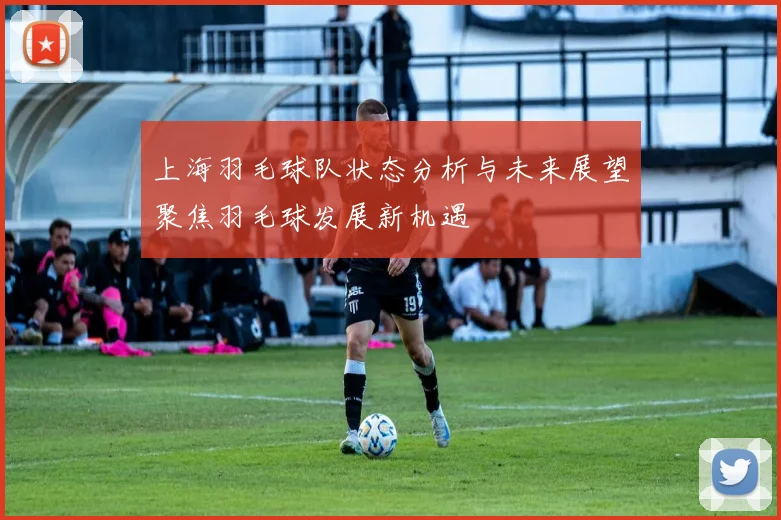 上海羽毛球队状态分析与未来展望聚焦羽毛球发展新机遇