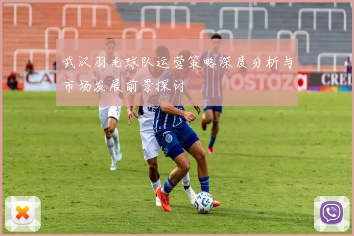 武汉羽毛球队运营策略深度分析与市场发展前景探讨