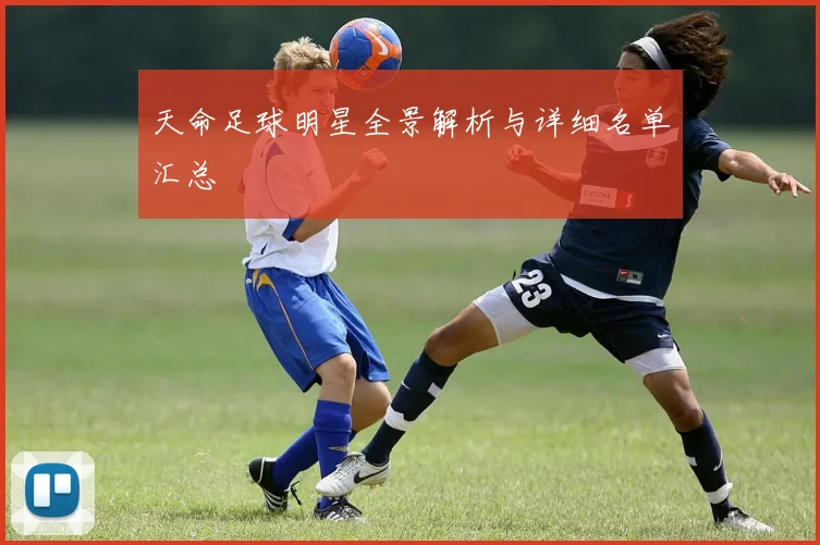 天命足球明星全景解析与详细名单汇总