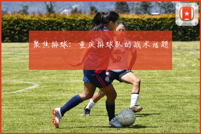 聚焦排球：重庆排球队的战术话题